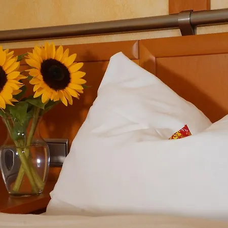Hotel Rosenthaler Hof Kerzenheim