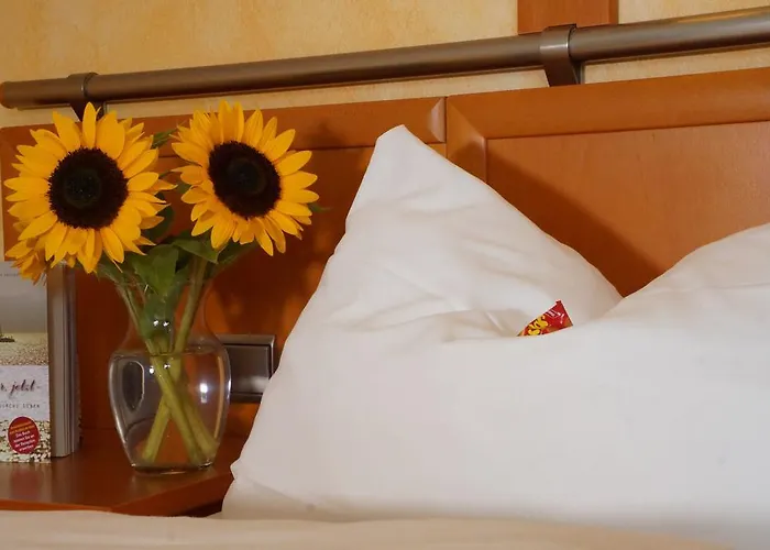 ホテル Rosenthaler Hof Kerzenheim